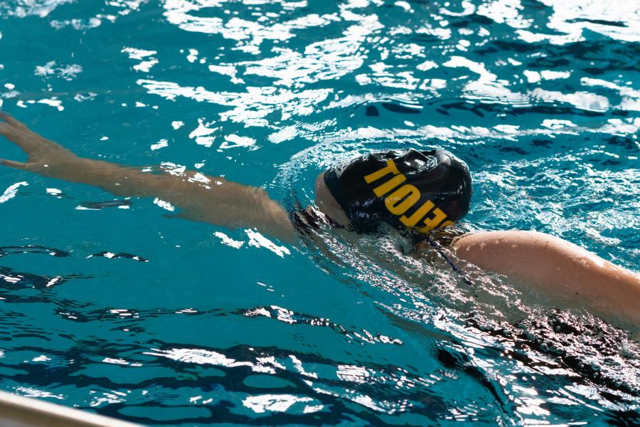 Member of Beloit College's swimming and diving team swimming in the pool.