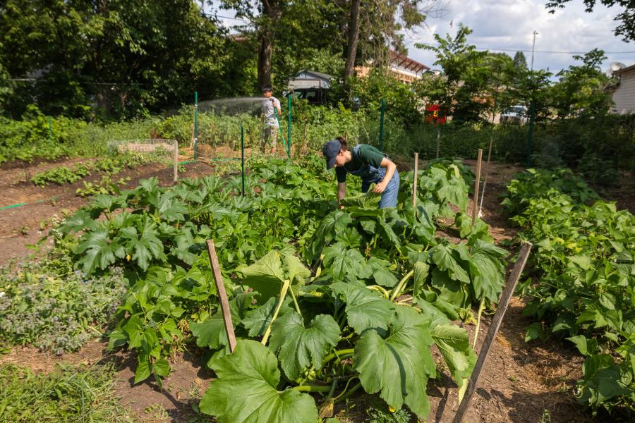 Closing the loop: kitchen scraps from the dining hall are composted at the Beloit Urban Garden, which provides produce for the college.